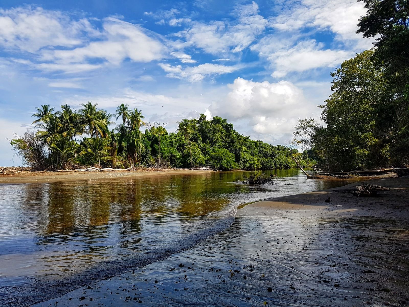 WhatsApp Image 2026-01-30 at 9.51.04 AM (1)