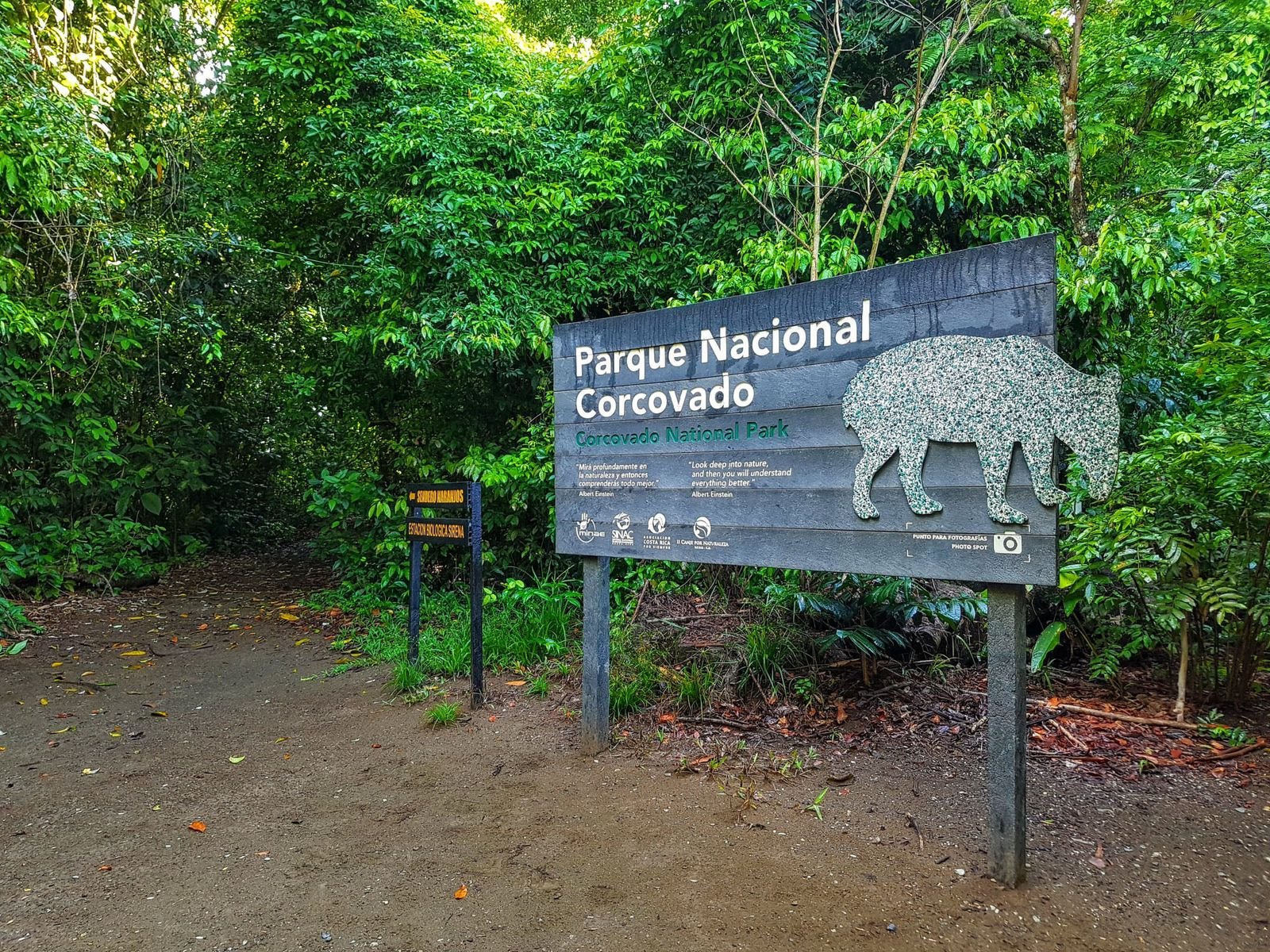 WhatsApp Image 2026-01-30 at 9.51.04 AM