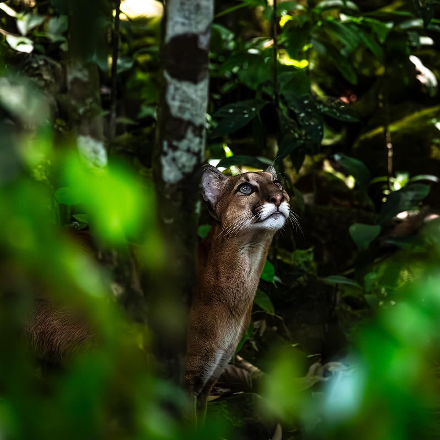 WhatsApp Image 2026-01-30 at 9.51.05 AM (1)