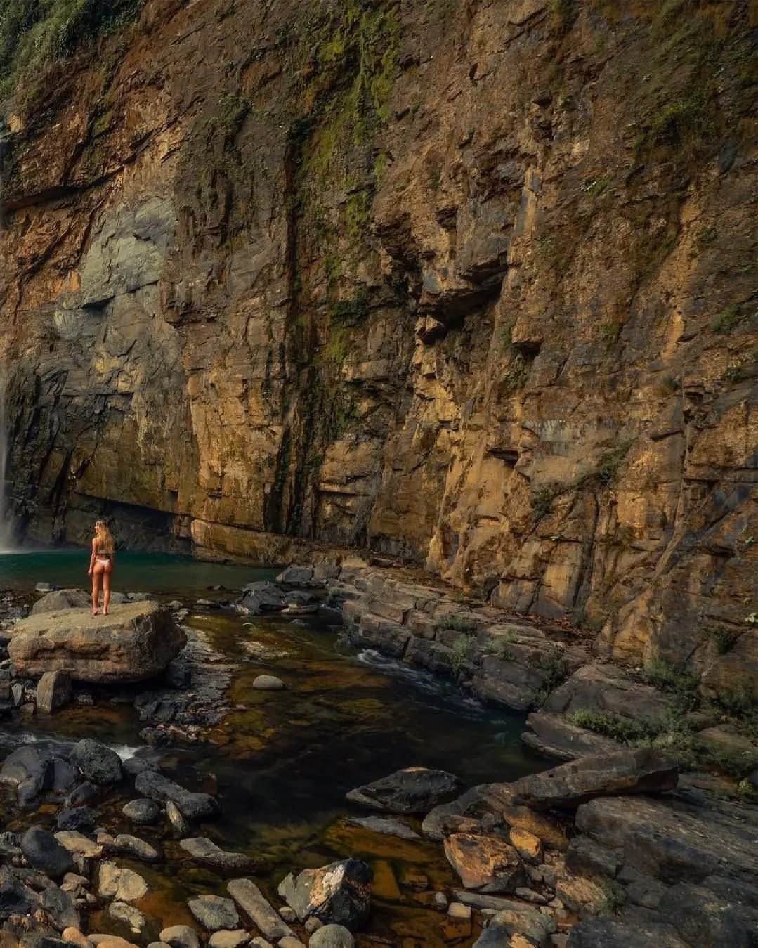 WhatsApp Image 2026-01-30 at 9.51.05 AM